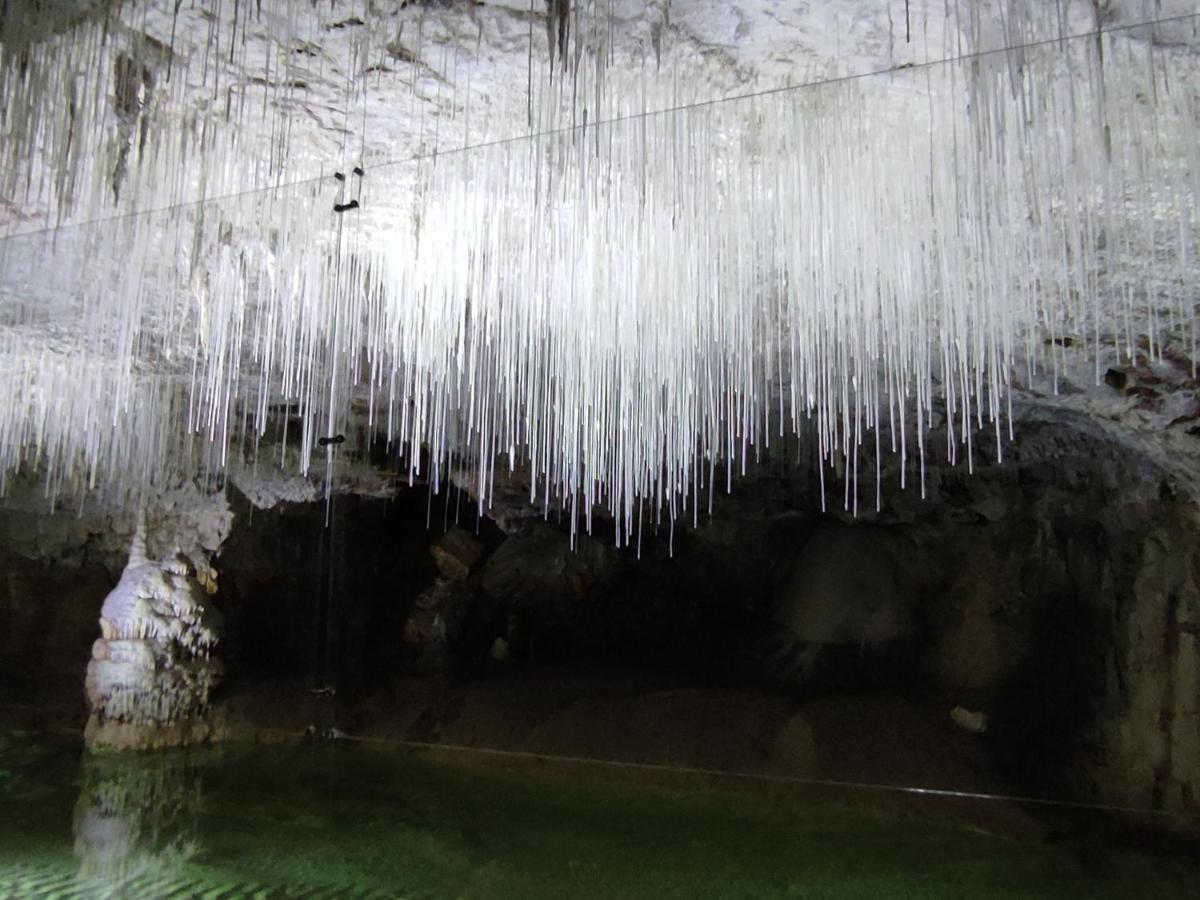Chambre Genissieux, Vue Sur Vercors Εξωτερικό φωτογραφία